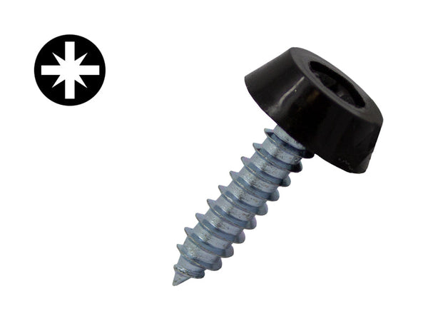 Number Plate Self Tapping Screws 24mm x 4.8mm - Black
