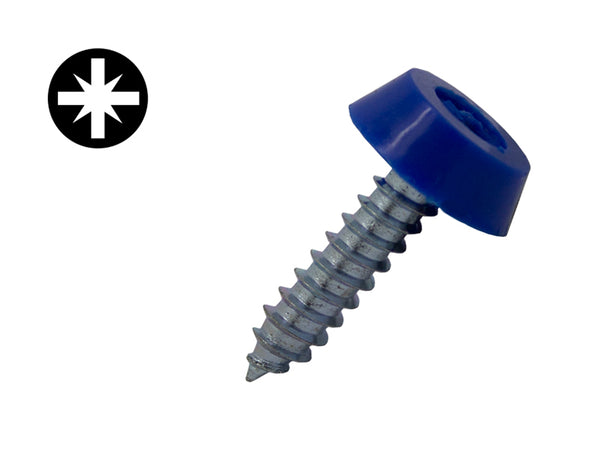 Number Plate Self Tapping Screws 19mm x 4.8mm - Blue